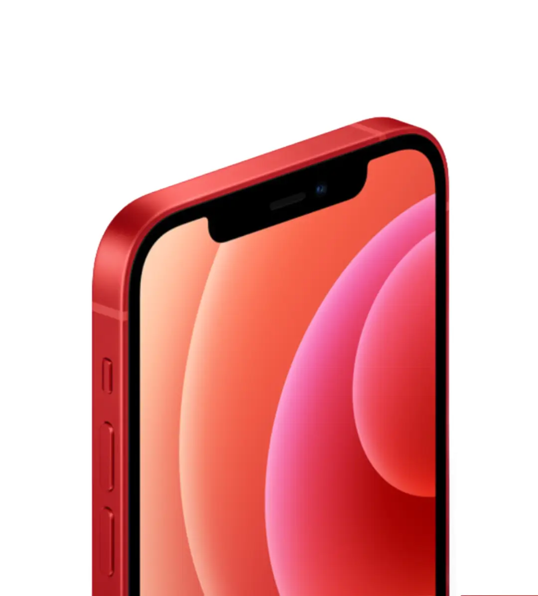 iPhone 12 Mini Pre-Owned Price in UAE – Compact 5.4" Display & A14 Bionic - Image 7